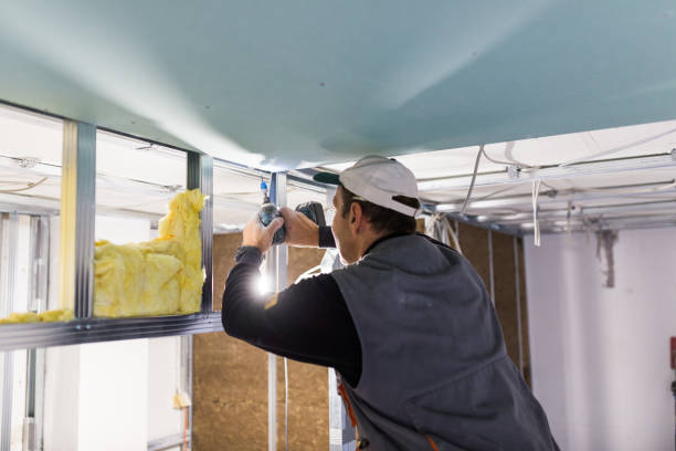 Best Garage Insulation  in Kaumakani, HI